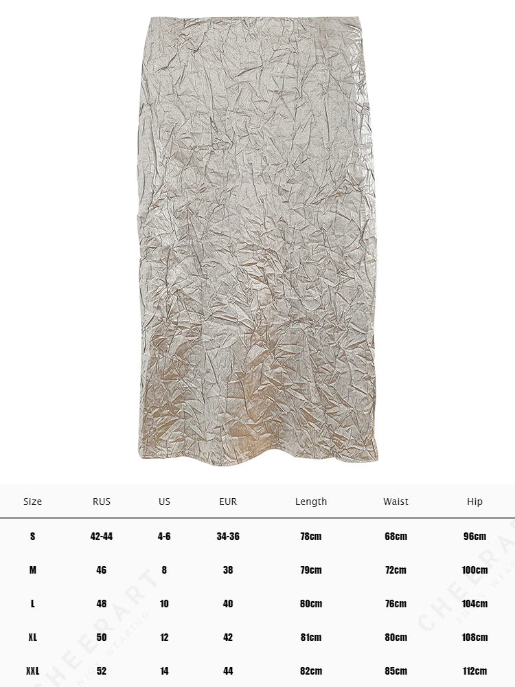 Long Silver Skirt