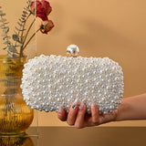 Elegant Evening Bag with Chain Strap