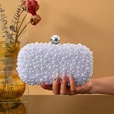 Elegant Evening Bag with Chain Strap